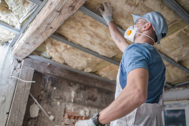 Insulation Inspection Services in Nashotah, WI