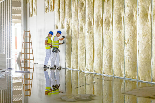 Insulation Replacement Services in Nashotah, WI